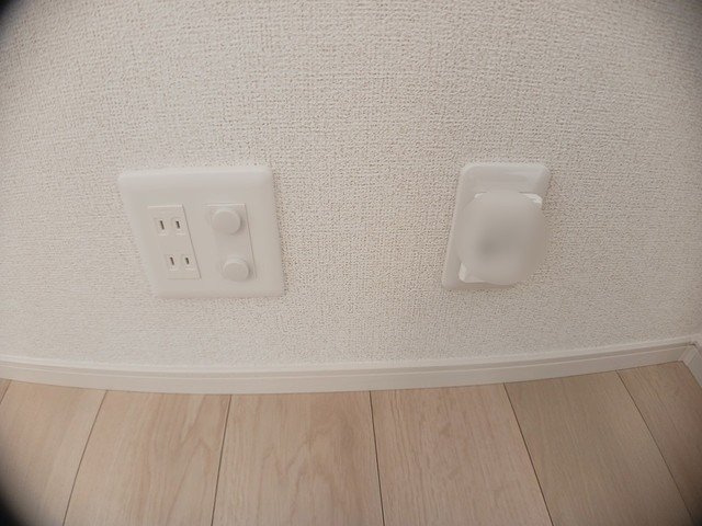 チップのその他