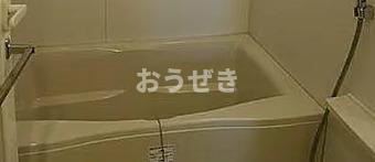 レジデンス横濱リバーサイドの浴室