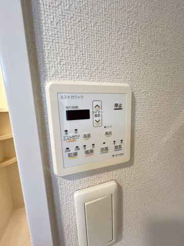 レバンガAP桜川FOXのその他
