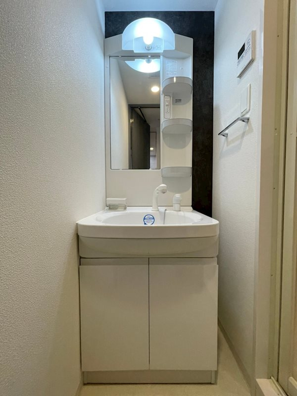 S-RESIDENCE谷町五丁目の洗面所