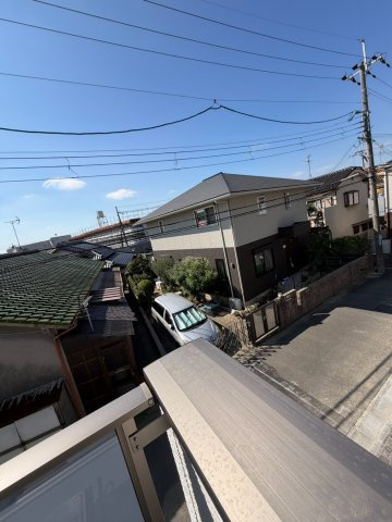 D porta cameliaの展望