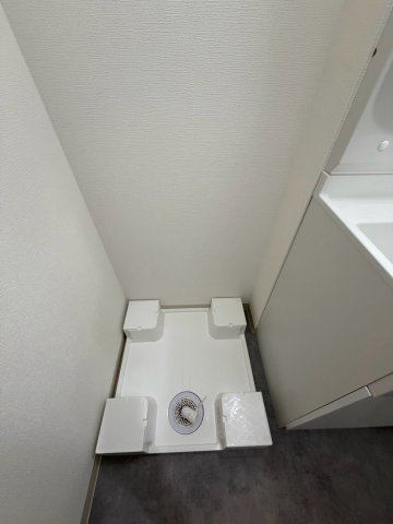 D porta cameliaの内装
