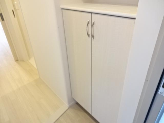 茅ヶ崎市室田３丁目の賃貸マンションの玄関