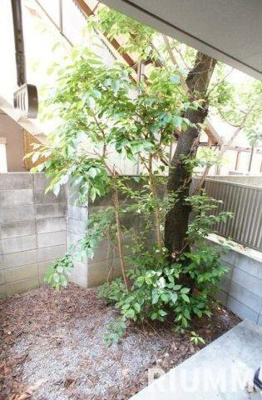 【展望】 | ドルチェ雑司が谷