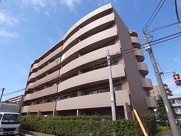 ミュウの画像