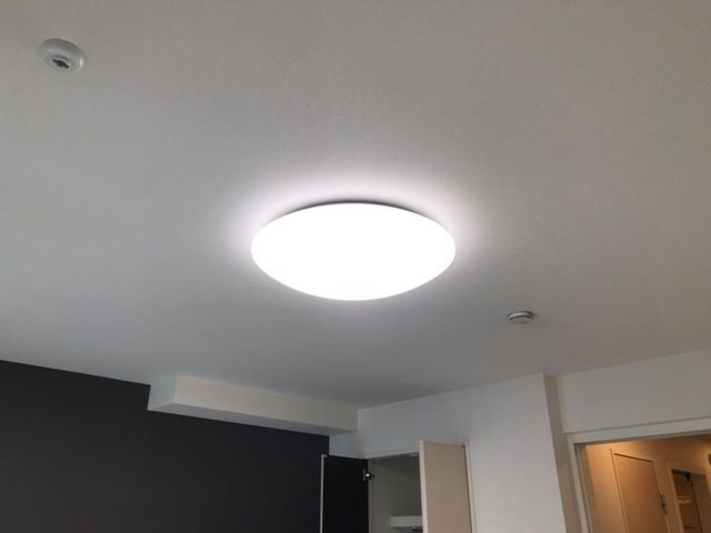 ドルフパークの内装