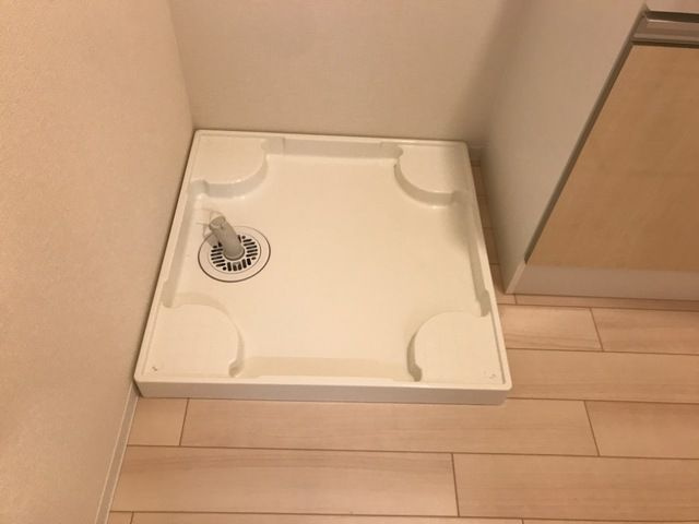 ドルフパークのその他