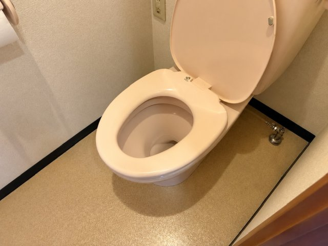リベルタ椿のトイレ|清潔感のあるトイレです
