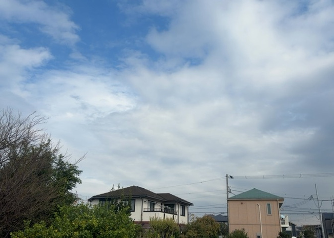 【展望】 | 二本松新築戸建 | 桜や紅葉の名所に出かける人は多いと思いますが、家にいながら季節の移ろいを感じる生活を送りませんか？リビングや窓から見える景色が生活を彩るワンポイントに！現地から見える景色を堪能してみては如何でしょう。