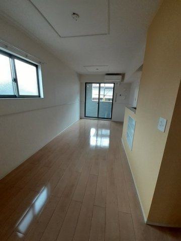 サニーコルドのその他