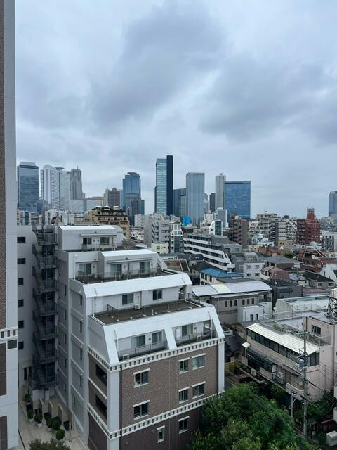 シャンボール北新宿の展望
