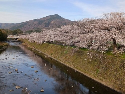 【周辺】 | アジュール修学院 | 鴨川まで100m