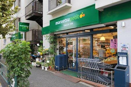 パークウェルツインズ西新宿ノースピアの周辺