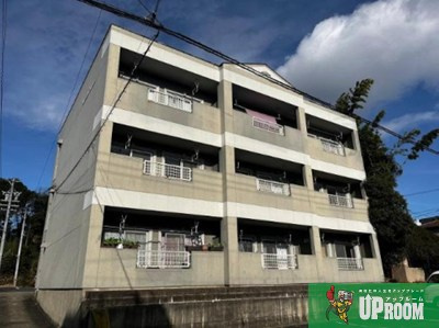 メゾンオクムラ（MAISON　OKUMURA）の外観