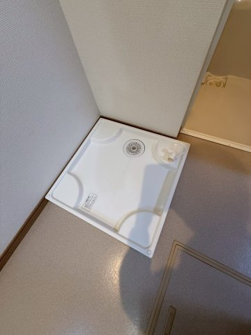 参考写真