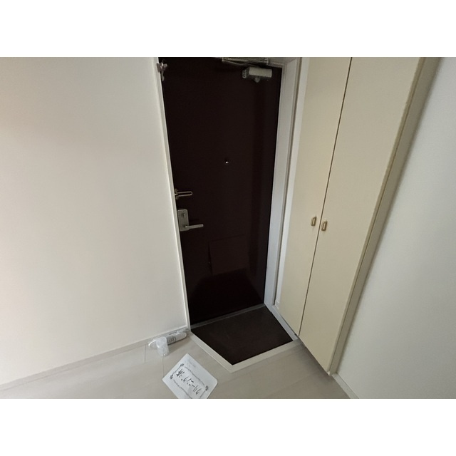 落ち着いた玄関です