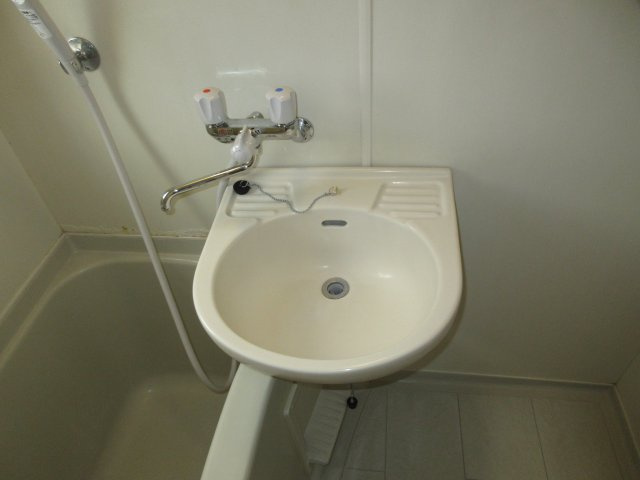 セントハイムの洗面所