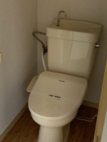 落ち着いた色調のトイレです