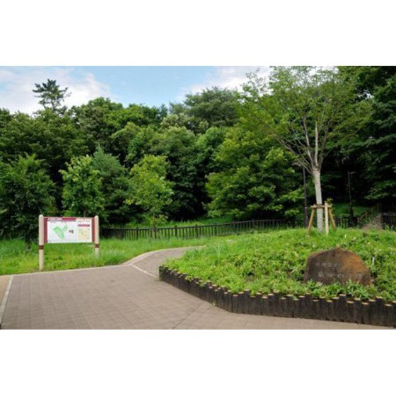 公園「和泉四丁目緑地まで1119ｍ」