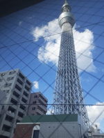 スカイツリーが綺麗に見える部屋も！※見えない部屋もあります。