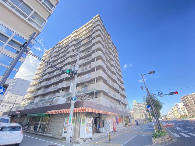 シャトー宿院の外観|【ユニットバス交換済（浴室乾燥機、追い炊き機能付）】綺麗なお風呂で一日の疲れをゆっくり癒してくださいね♪