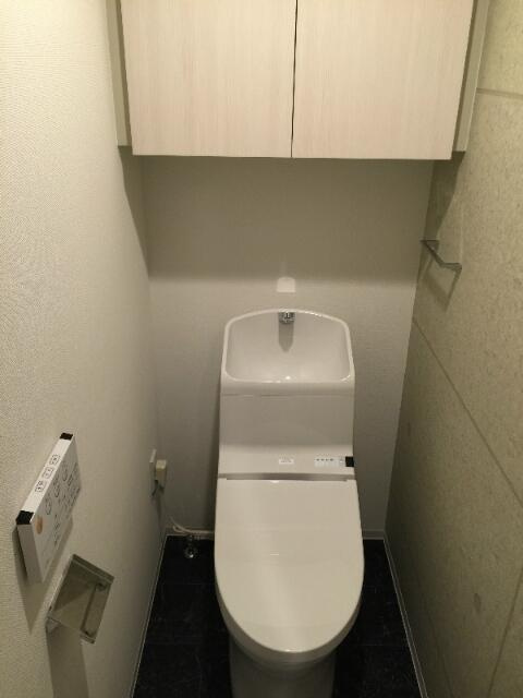 メインステージ錦糸町Ⅶラピス(メインステージキンシチョウセブンラピス)のトイレ