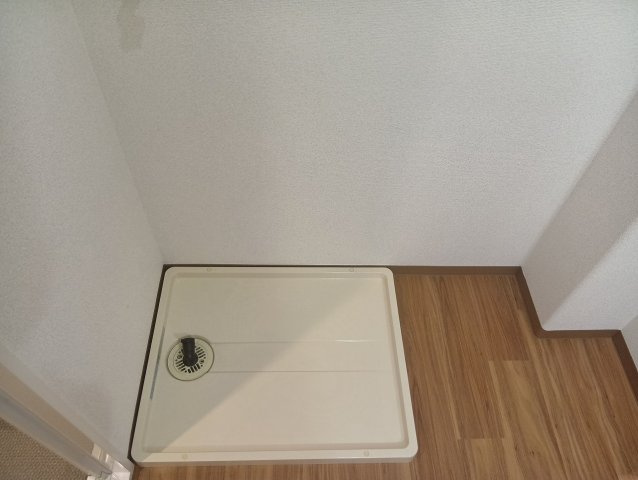 サーパス高須 2番館の洗面所|脱衣スペースもあります