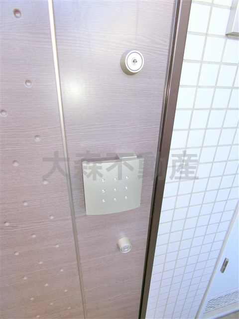 ライズコート大森町の玄関