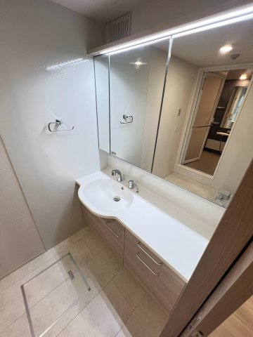 TORISIA千里丘Ⅱの洗面所