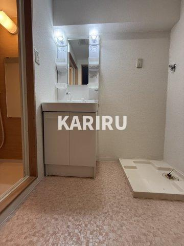 M'sプラザ城東弐番館の洗面所