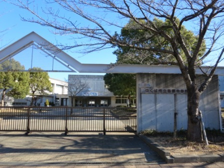 ユーフォルビアのその他|その他