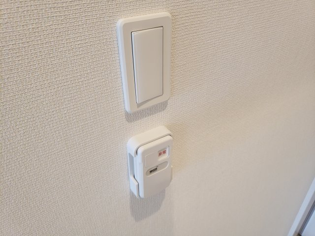 リブリ・フルールのその他