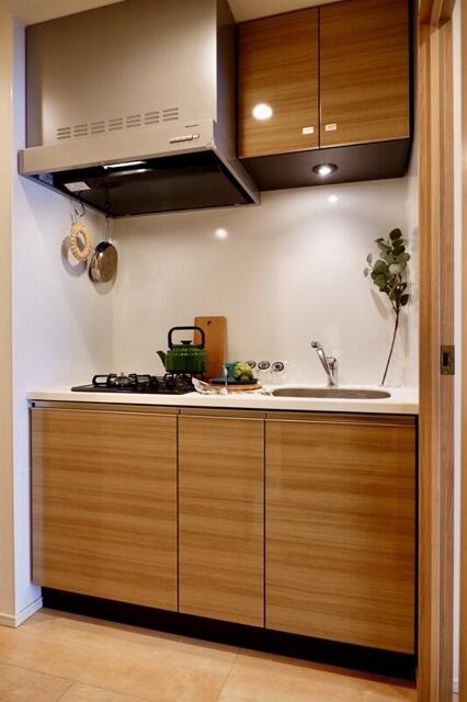ＯＮＥ　ＲＯＯＦ　ＲＥＳＩＤＥＮＣＥ　ＫＩＢＡ　ＷＥＳＴ(ワンルーフレジデンスキバウエスト)のキッチン
