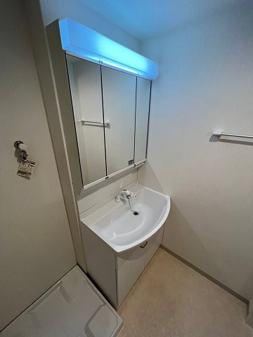 ディアコート野村の洗面所