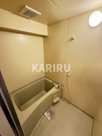 M'sプラザ城東六番館の浴室