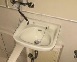 ニューベアーハイツの洗面所