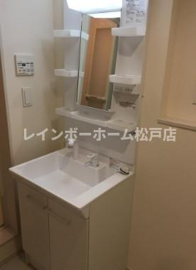 リーブルファイン南流山Ｂ棟仲介手数料（賃料の1.10ヵ月）の50％OFF対象物件！の洗面所|広い洗面スペース