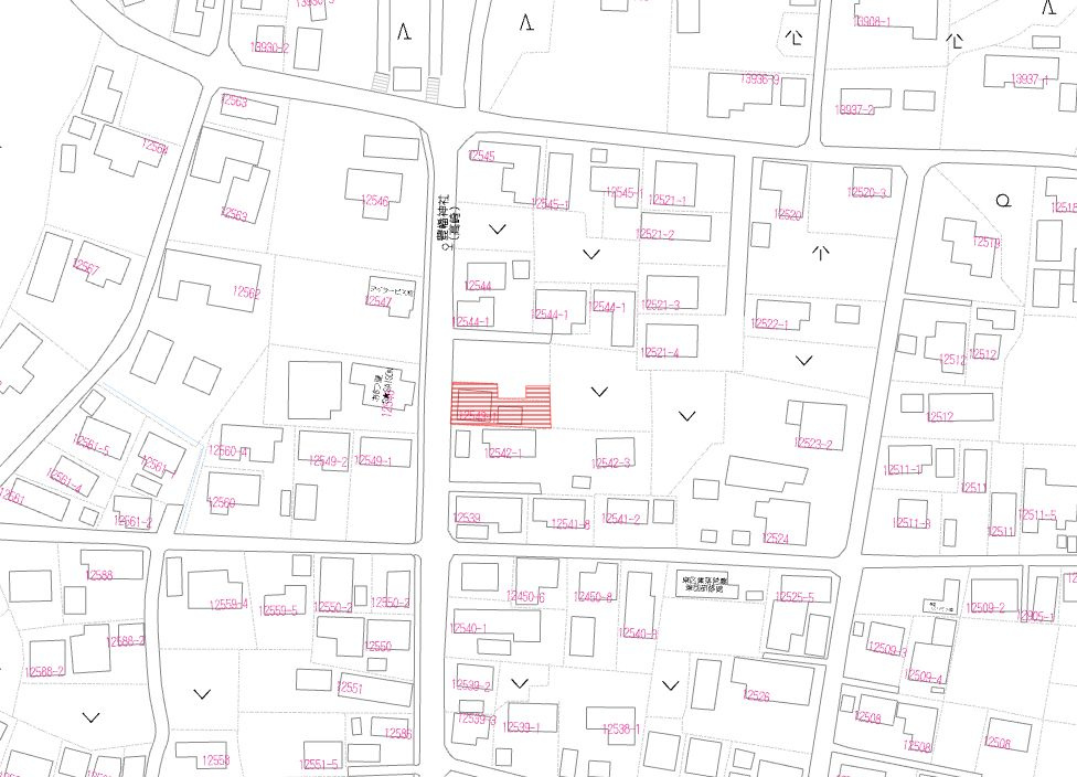 土地：庄内町12543番1の土地図