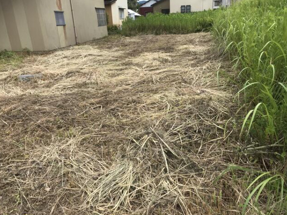 あわら市市姫２丁目　土地　の外観