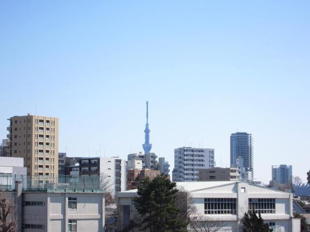 アール・ブリュット白山の展望