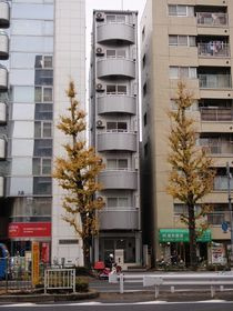 アール・ブリュット白山の外観
