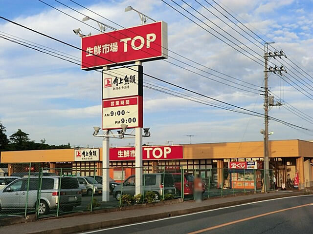 ブルーミングガーデン　柏市南増尾３丁目１棟／１期１号棟の周辺|生鮮市場TOP増尾台店まで1004m