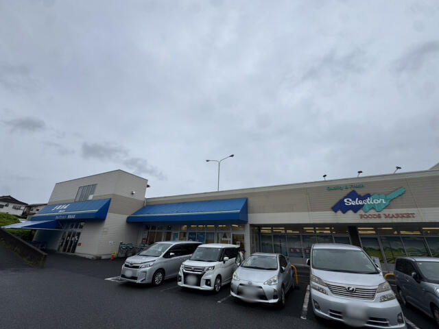 ブルーミングガーデン　柏市南増尾３丁目１棟／１期１号棟のその他|フーズマーケットセレ…まで617m