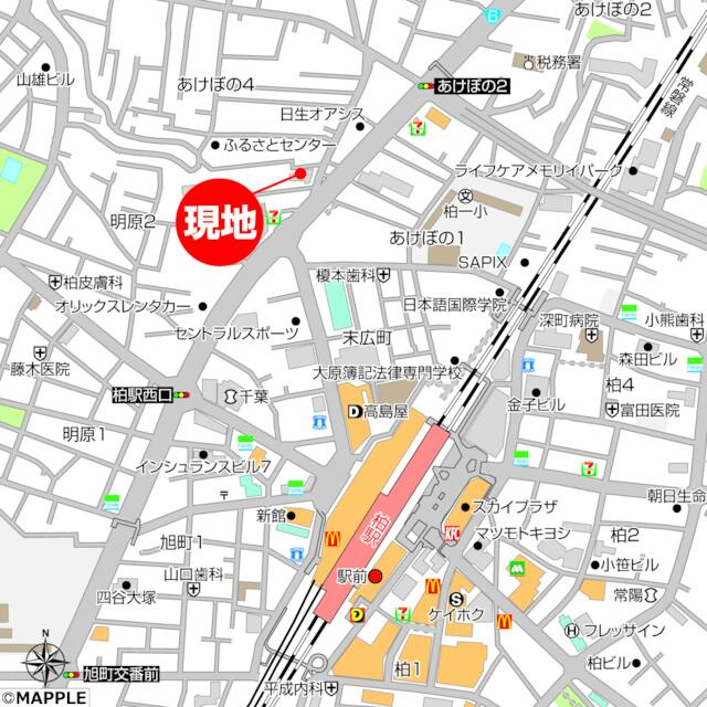 ライネスハイム柏の地図
