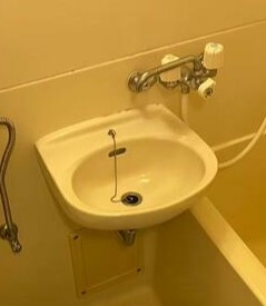 サァラ府中の洗面所