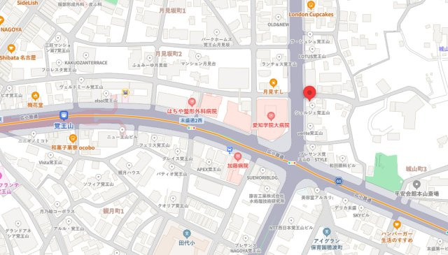 HARVEY TERRACE 覚王山の地図