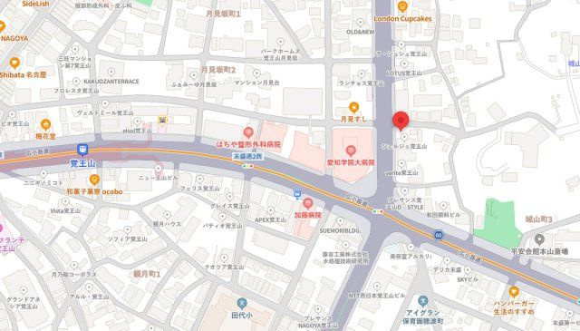 HARVEY TERRACE 覚王山の地図