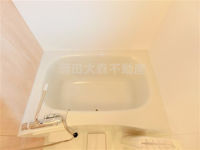 ラティエラ西蒲田の浴室