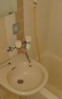ライオンズマンション板橋中丸町の洗面所
