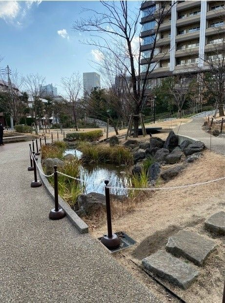 セルバ　目黒の庭|お庭の付いた物件です